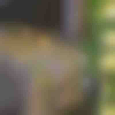 Соларни Приказни Светлинки с Изкуствени Листа от Бръшлян (5 м) | LEAFGLO