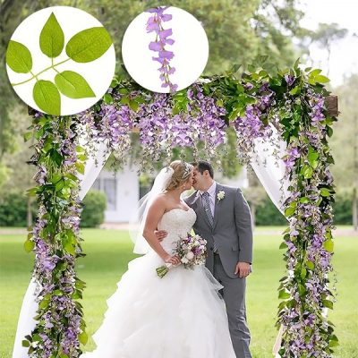 Клонка Глициния Цветна лоза | WISBLOOM