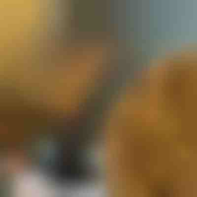 Светлинни клонки | BRANCHLUMOS