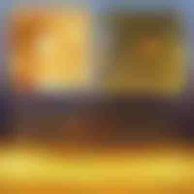 Празнична LED светлинна мрежа | LUMONET