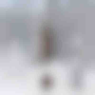 Вятърна камбанка | BELLSERA