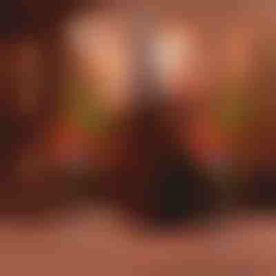 Слънчева светлина кипарисово дърво | CUPRESSUS